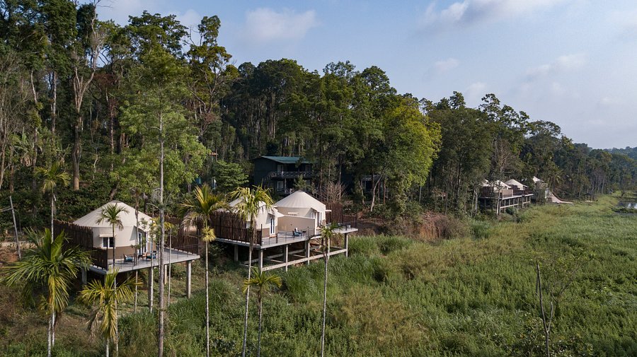 Machan-style forest stay near Tadoba